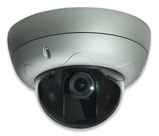 Intellinet PRO SERIES NETWORK HIGH RES Dome