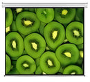 Esquire Electric Projector Screen 300 X 169