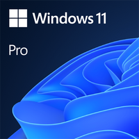 Microsoft windows 11 license DVD Single User License