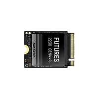 HIKSEMI Future S 1TB M.2 NVME 2230 Solid State Drive-0